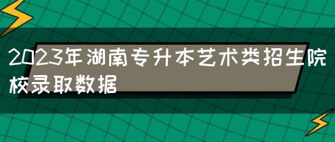 2023年湖南专升本艺术类招生院校录取数据